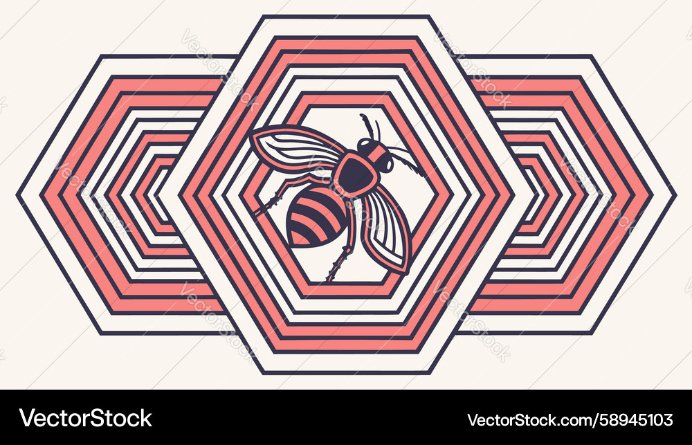 Stylized bee in hexagonal frame with geometric Vector Image