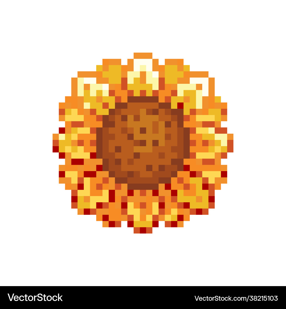 Sunflower beading pattern pixel image Sunflower beading pattern pixel image vector image