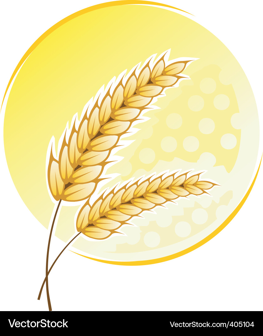 Wheat Field Background Vector Image