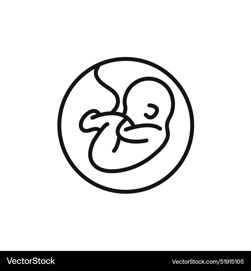 Embryo child icon set collection for web Embryo child icon set collection for web vector image