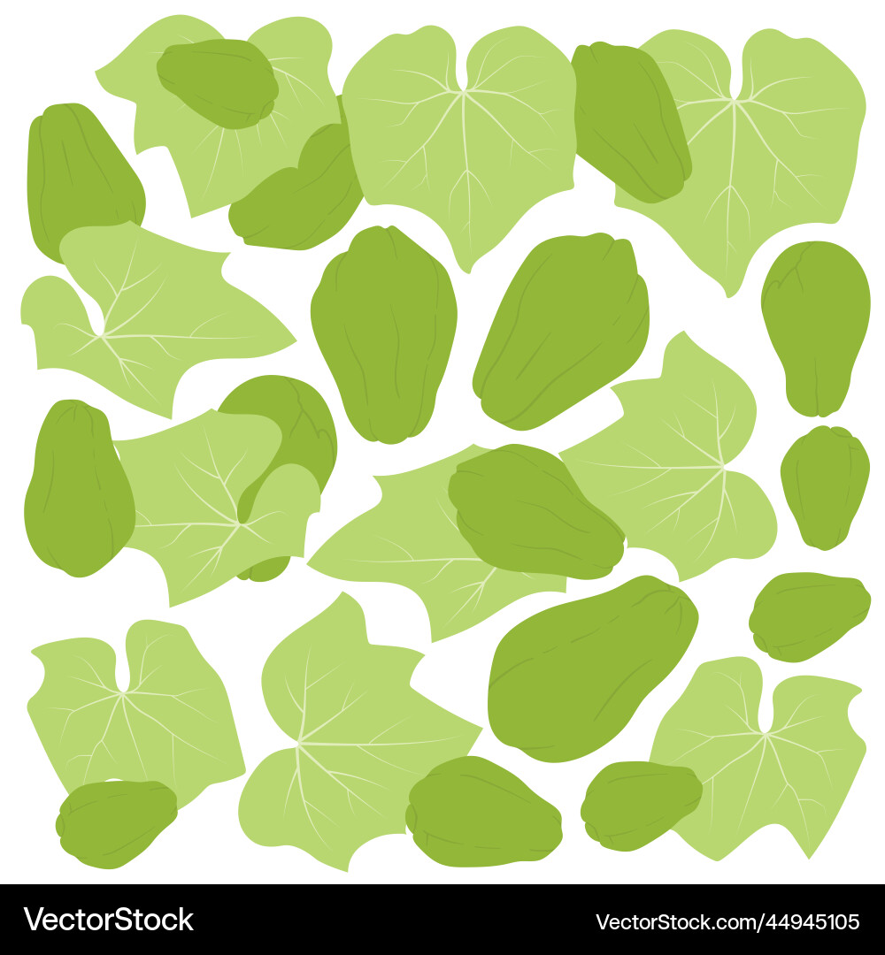 Green chayote print pattern background in flat vector image
