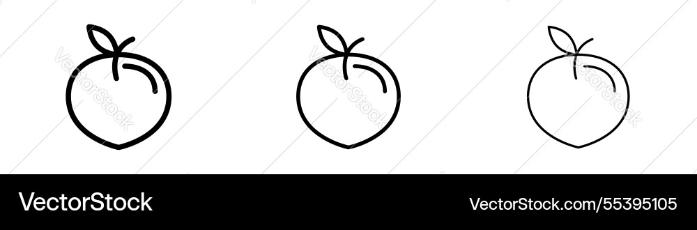 Peach icons in three different stroke lines Vector Image