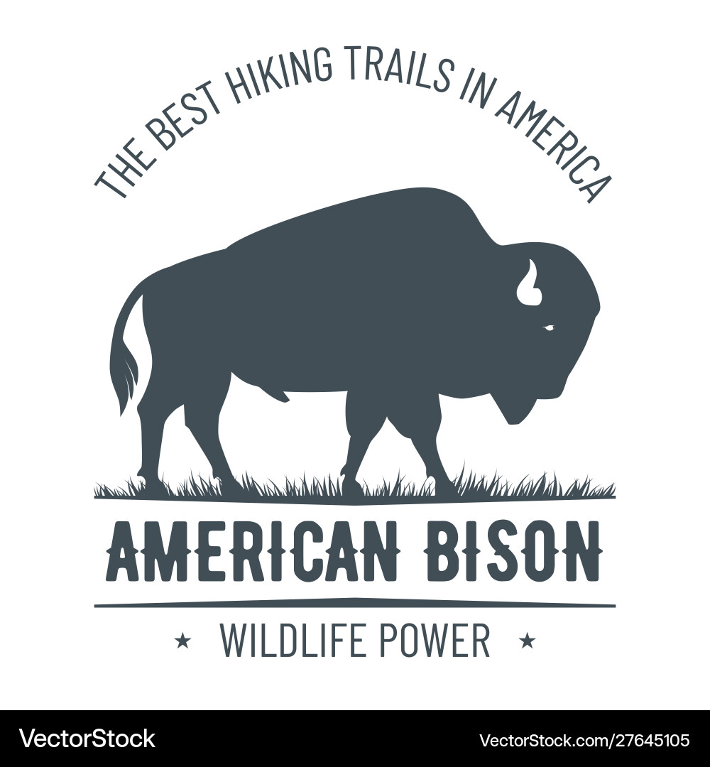 Vintage Bison Emblem - Buffalo Silhouette Vector Image