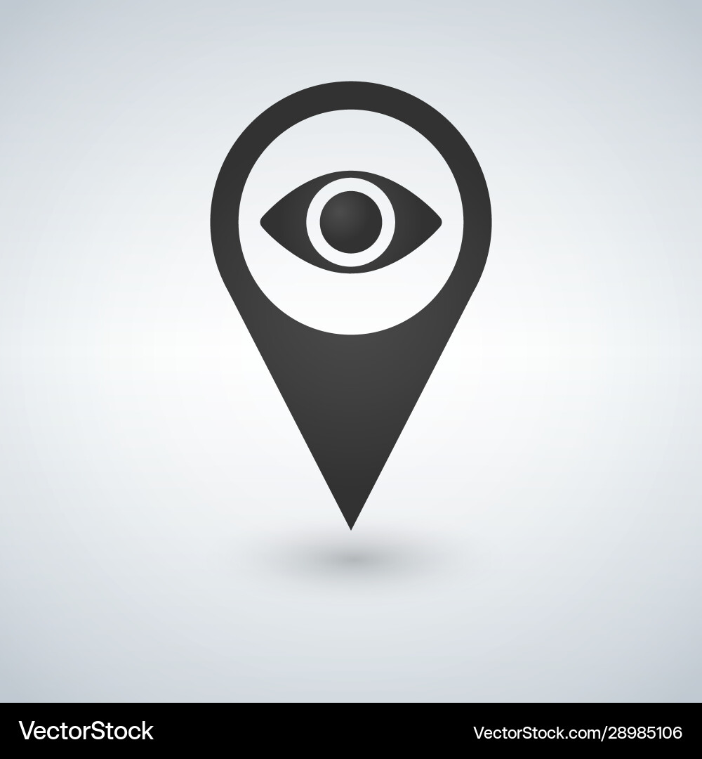 Map pointer with eye icon isolated on white vector image
