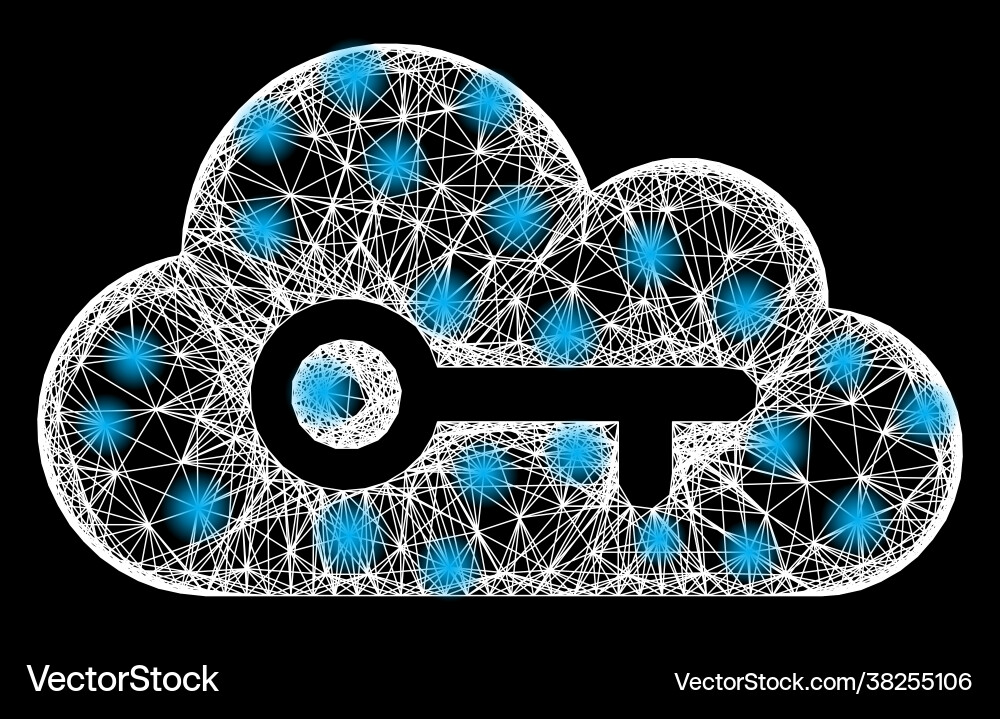 Net cloud key mesh with bright flash nodes Net cloud key mesh with bright flash nodes Vector Image