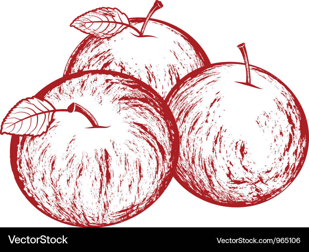Rustic Apples Vector Image
