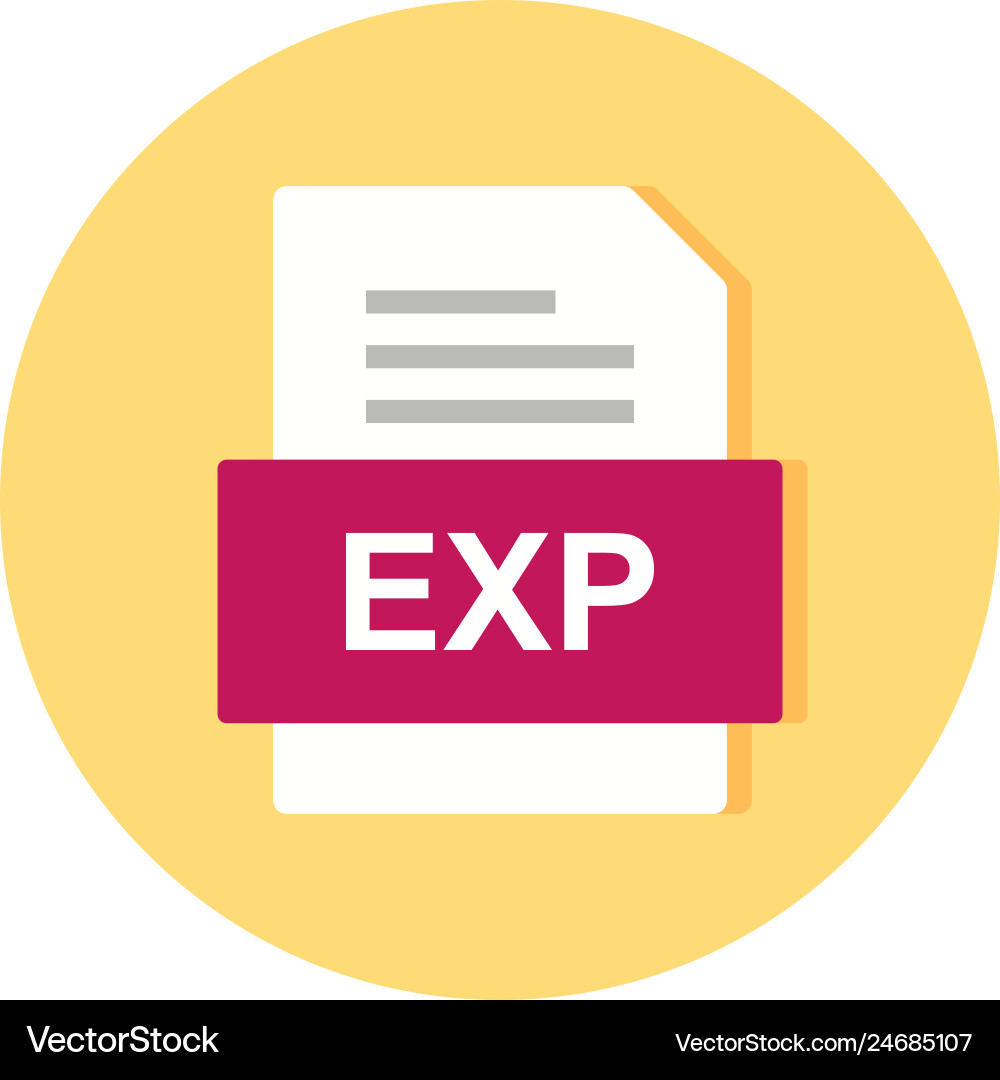 Exp file document icon Vector Image