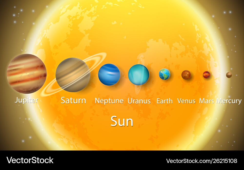 Solar system planets to scale size diagram Solar system planets to scale size diagram vector image