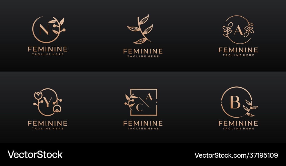 Luxury feminine wedding branding corporate logo Luxury feminine wedding branding corporate logo vector image