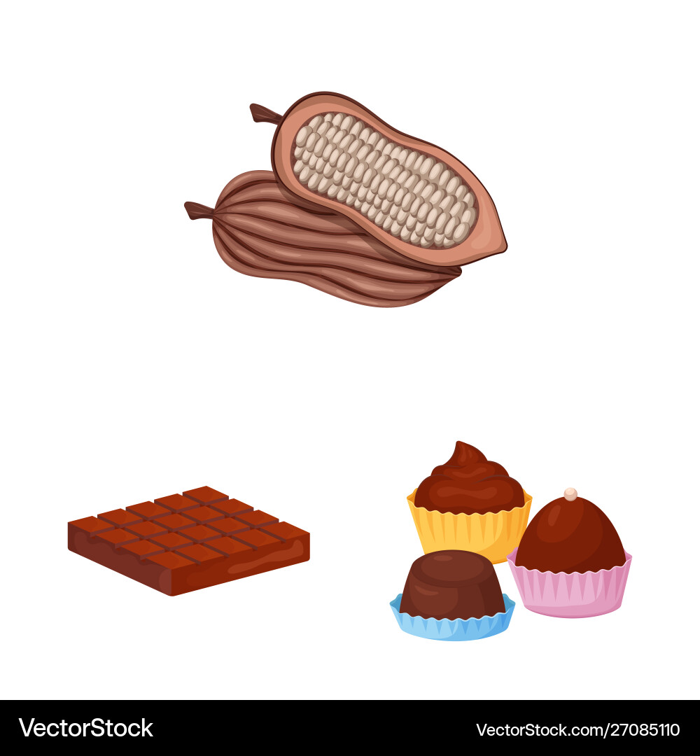Isolated object cocoa and beans sign Vector Image