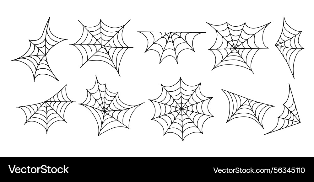 Outline spider webs in various shapes and angles Outline spider webs in various shapes and angles vector image