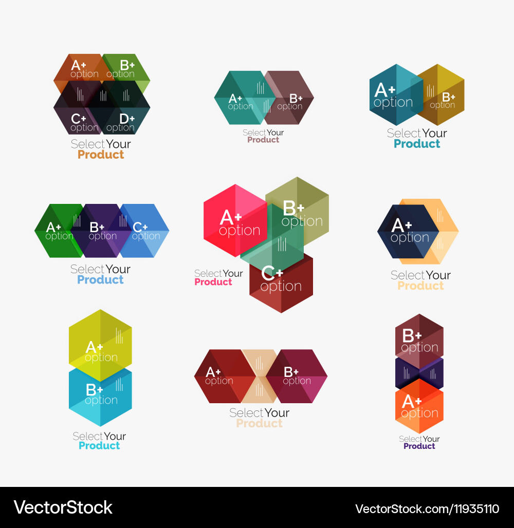 Set of infographic templates with text and options Vector Image