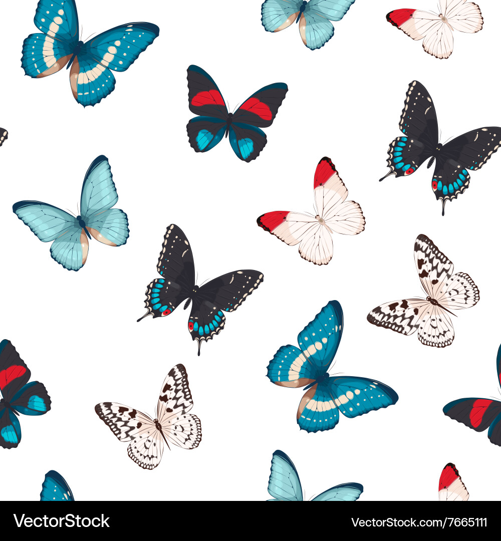 Colorful butterflies seamless Vector Image