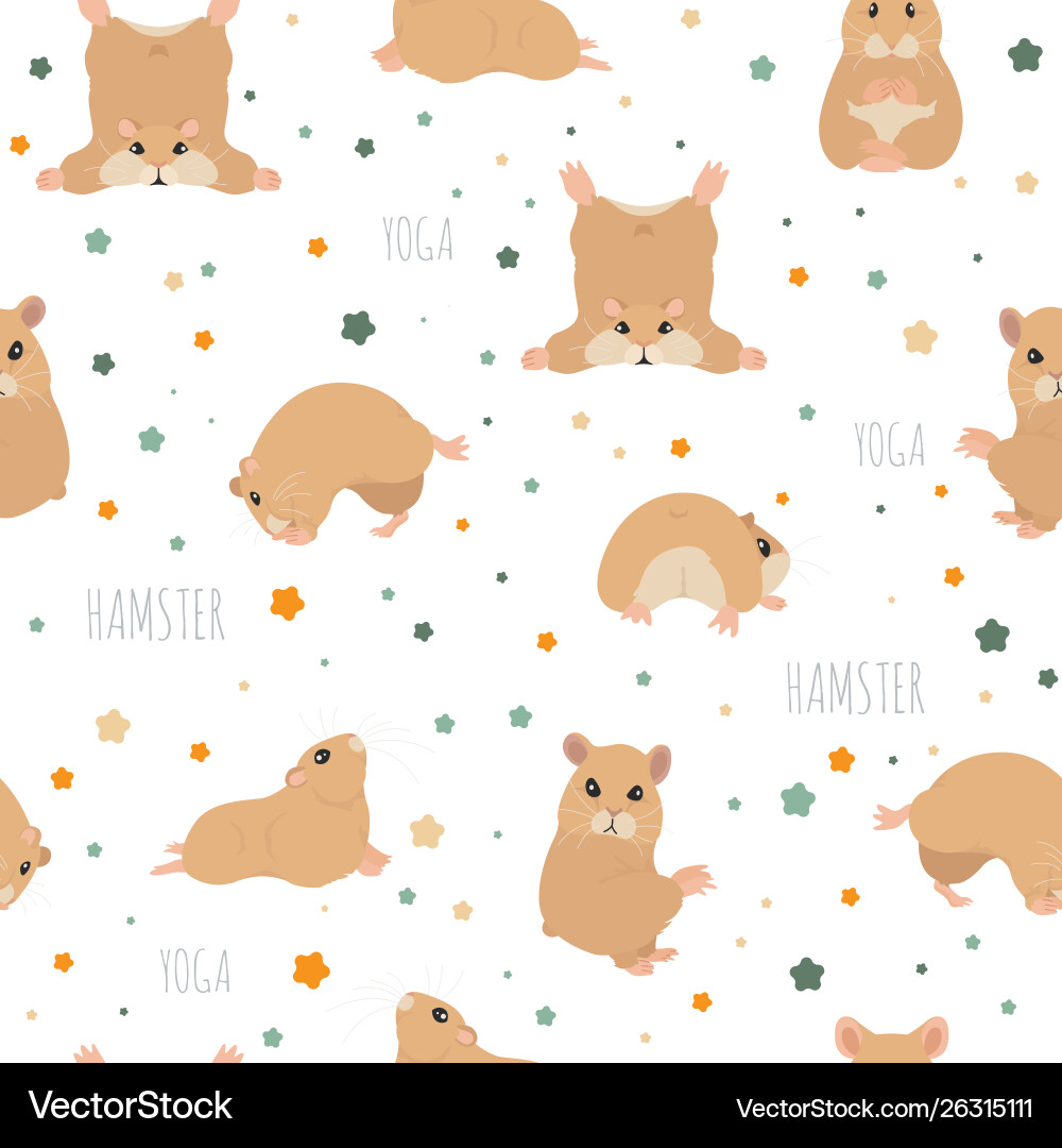 Hamsters yoga poses and exercises cute cartoon vector image