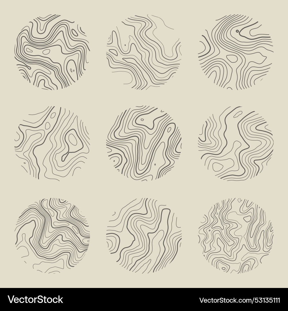 Topographic map with contour lines geographic Vector Image