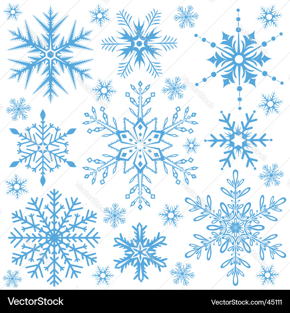 Winter Snowflake Pattern vector image