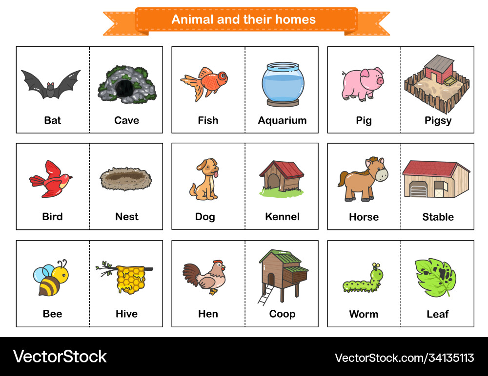 Animal and their homes flash cards printable Vector Image