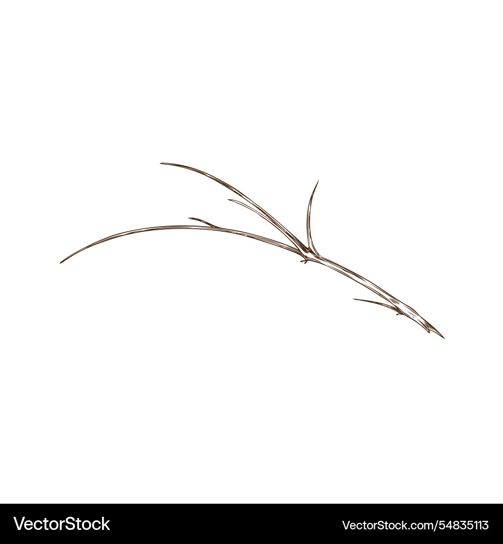 Black and white sketch Black and white sketch vector image