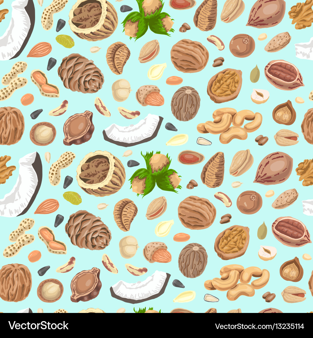 Seamless pattern with colored nuts and seeds Vector Image