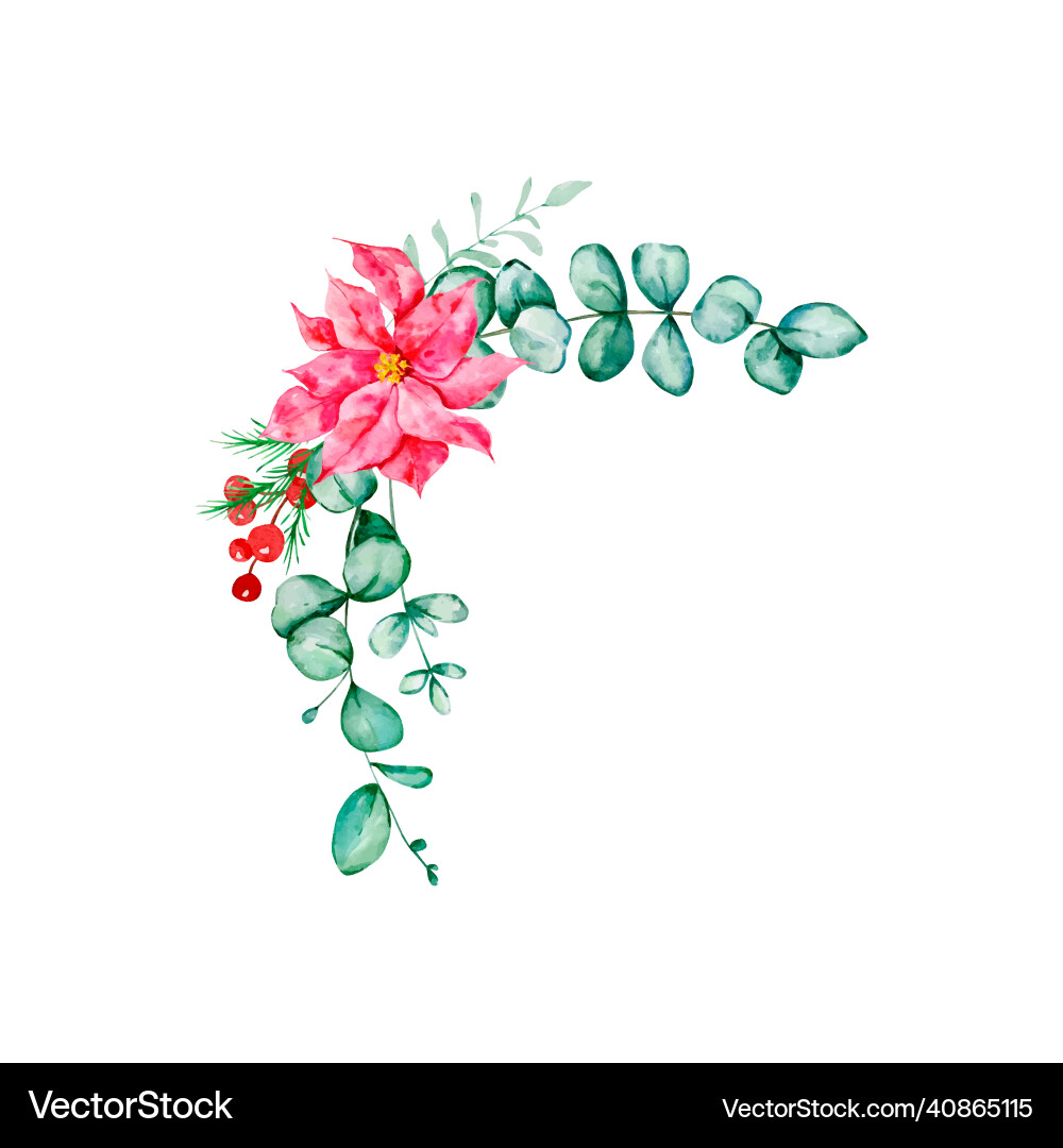 Watercolor christmas floral bouquet vector image