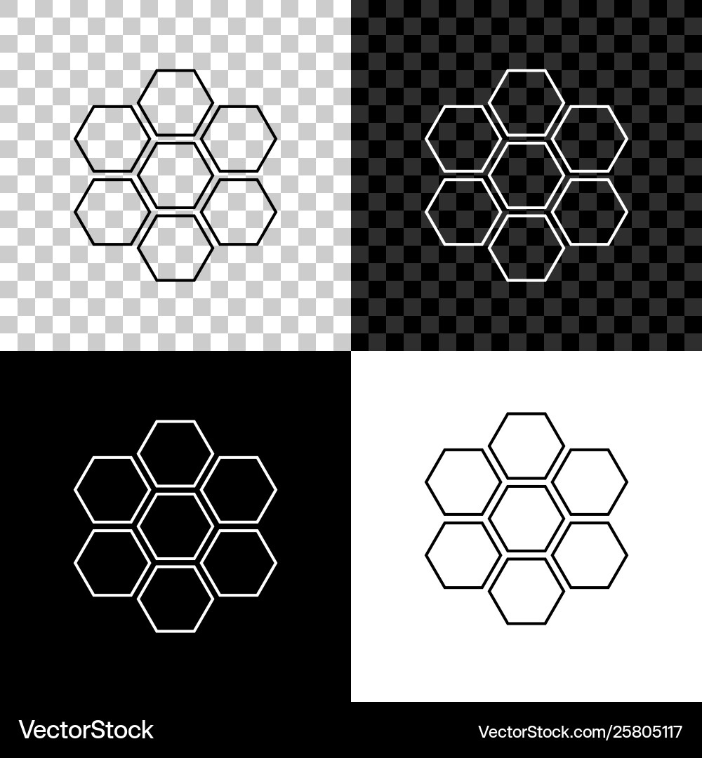 Honeycomb sign icon isolated on black white Vector Image