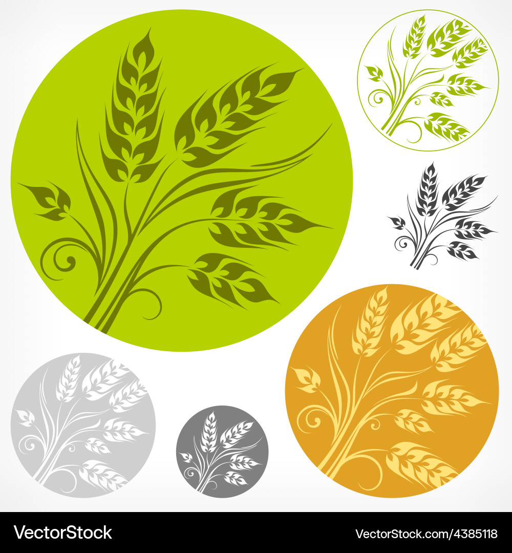 Wheat pattern in round Vector Image