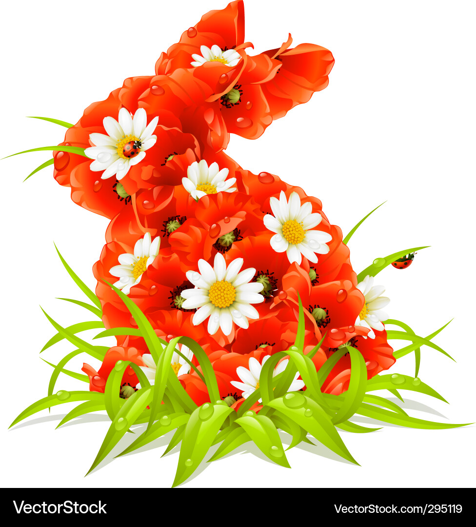 Easter Poppy Flowers Vector Image