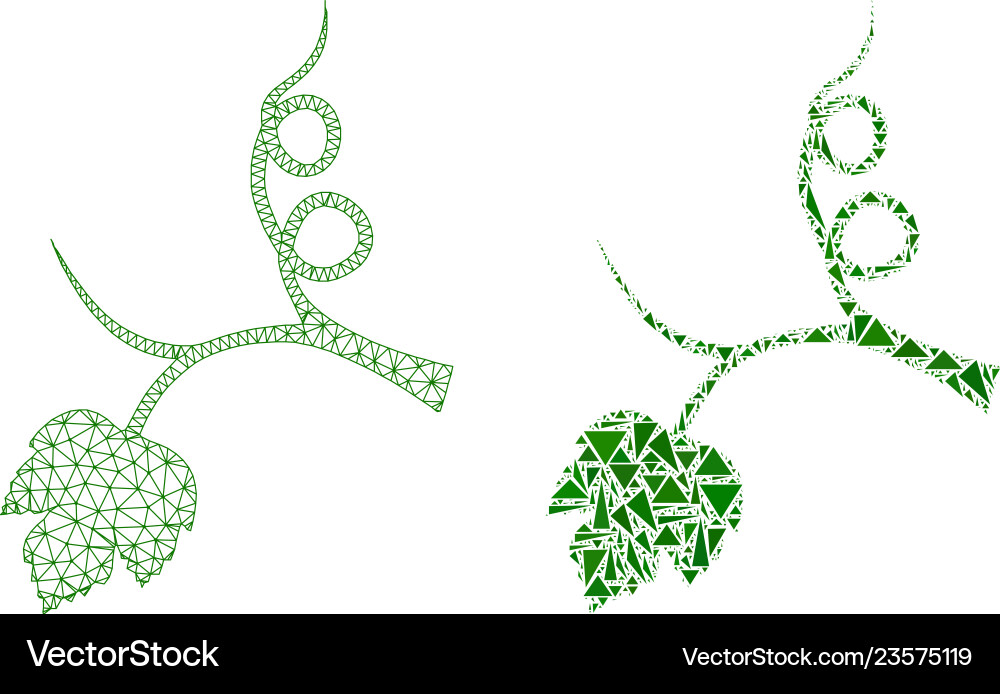 Polygonal wire frame mesh grape sprout and mosaic Polygonal wire frame mesh grape sprout and mosaic Vector Image