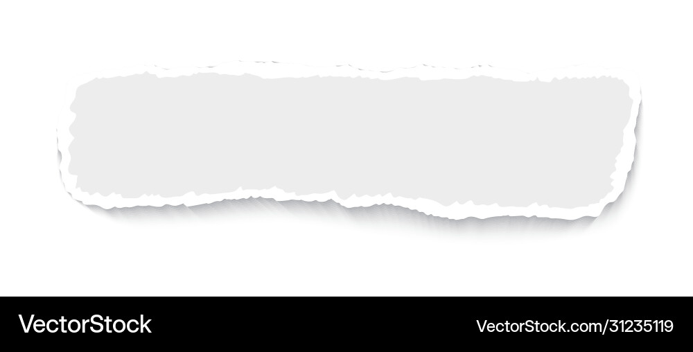 Torn paper sheet rough broken border realistic Vector Image