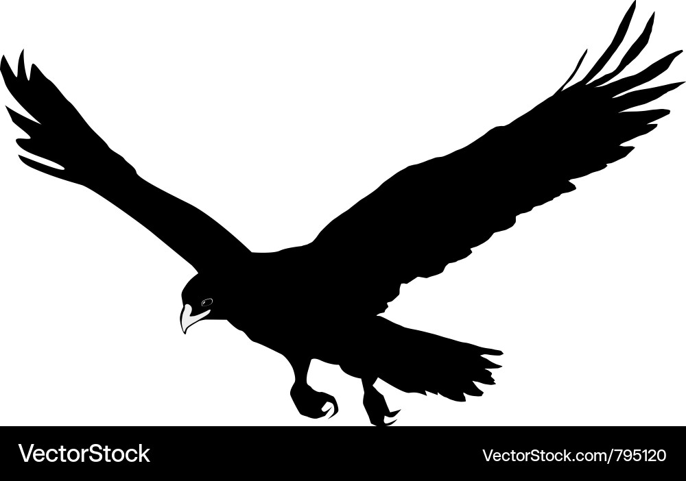 Black Eagle Silhouette vector image