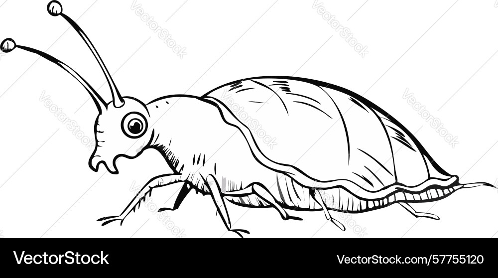 Outline sketch of an insect bug creature design Vector Image