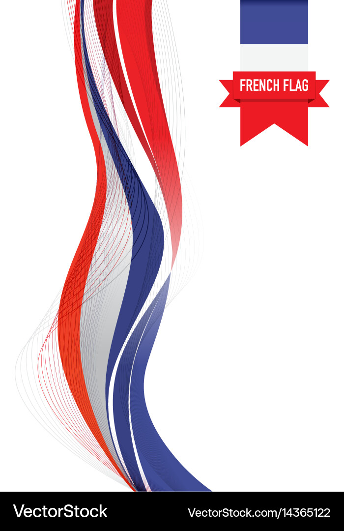 French Flag Background Vector Image