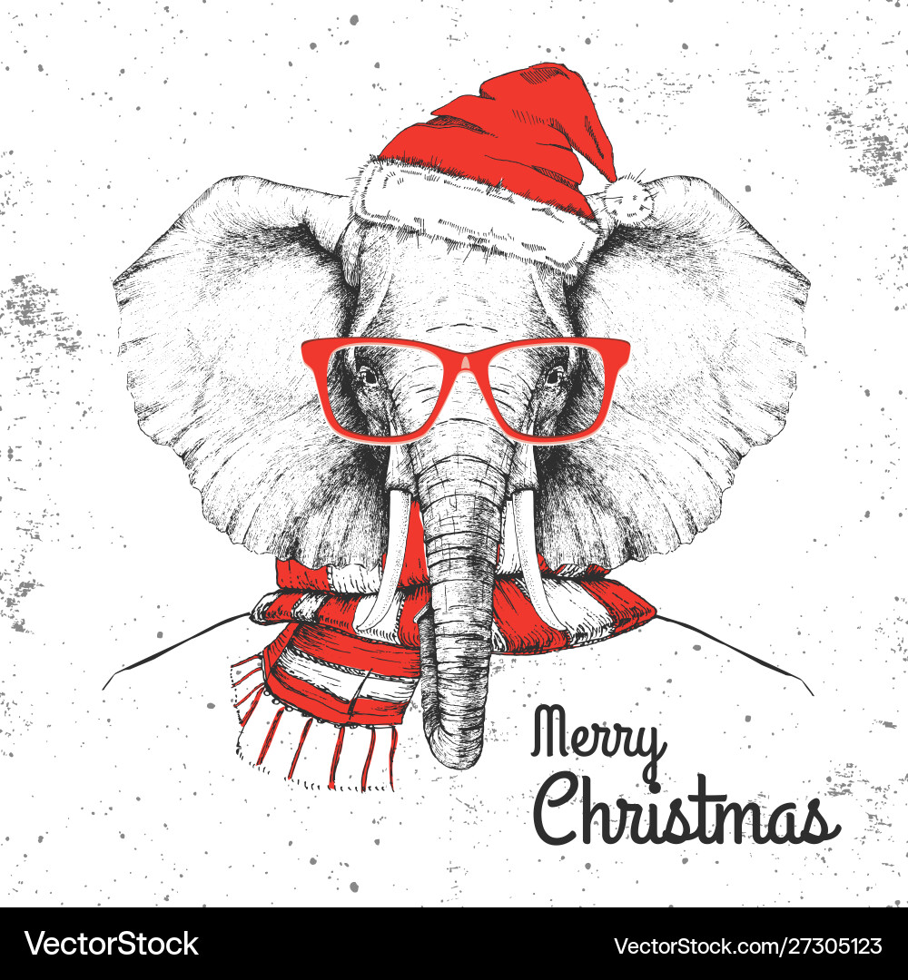 Christmas Elephant Portrait Vector Image