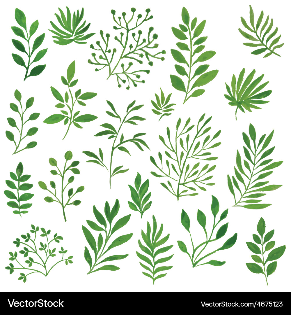 Green Set Royalty Free Vector Image Vectorstock