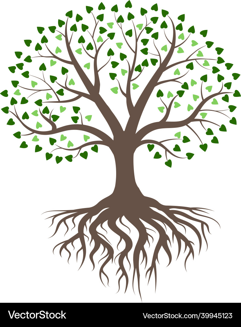 Lush Green Tree Roots Vector Image