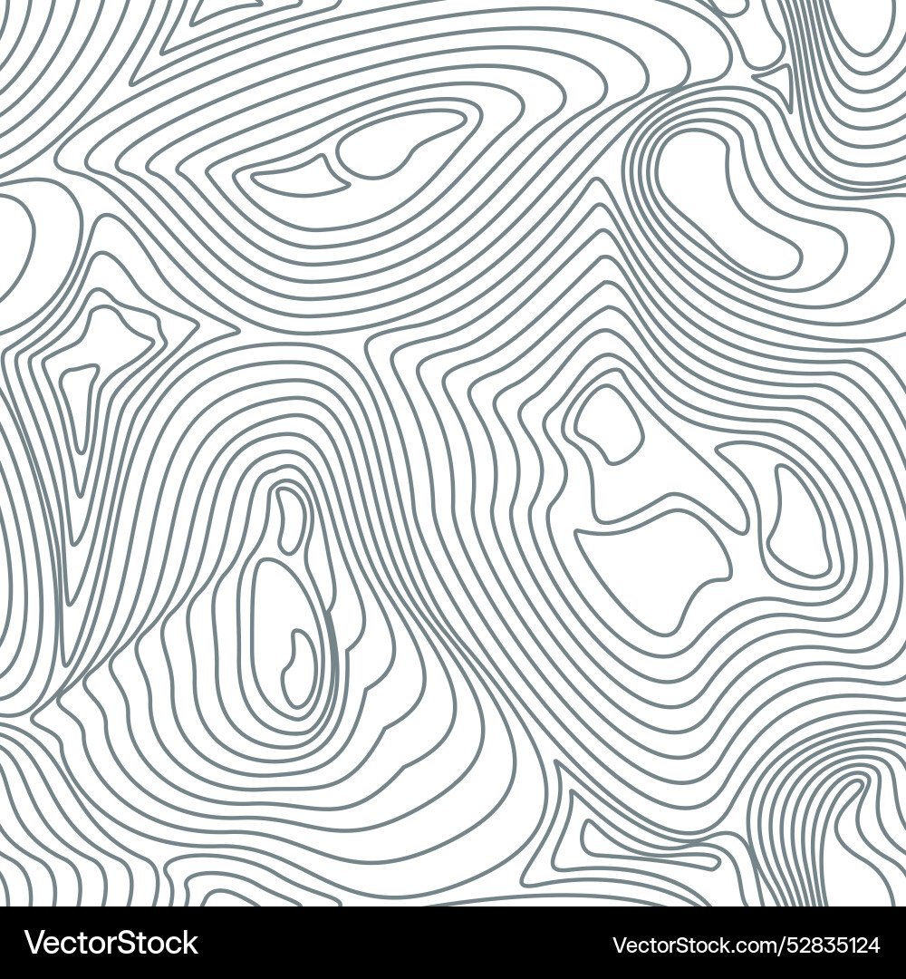 Topographic Map Seamless Pattern vector image