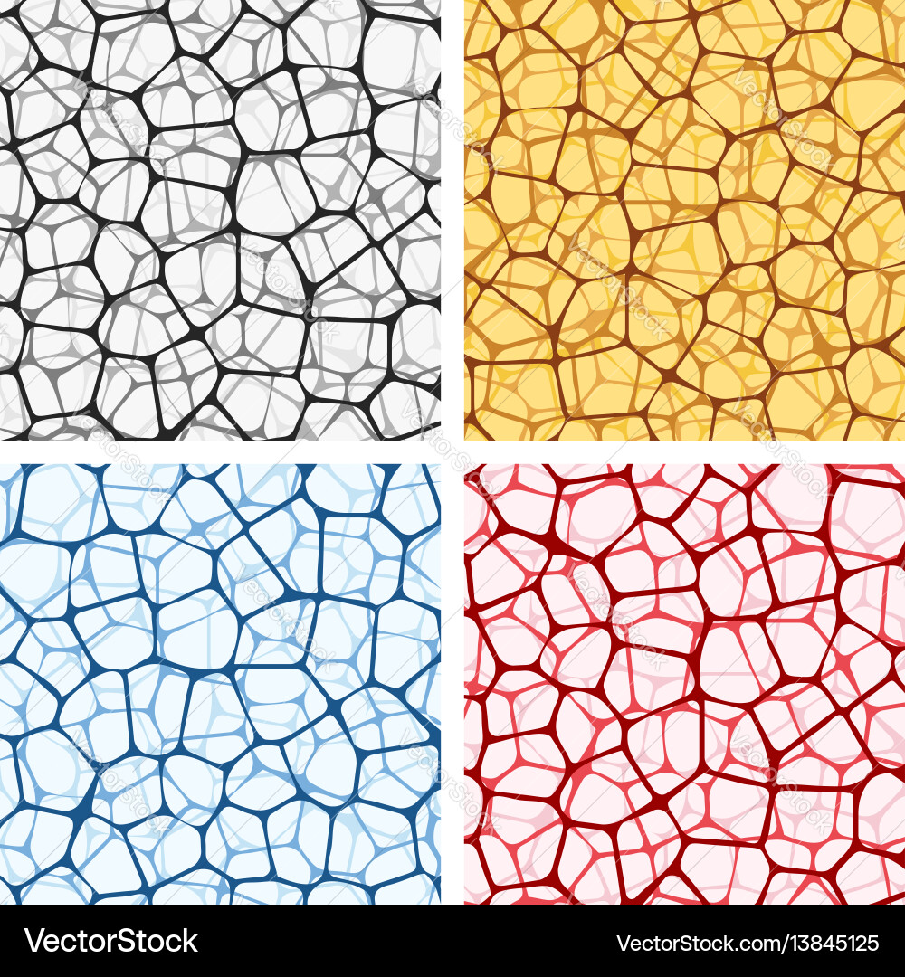 Reticulated Net Patterns vector image