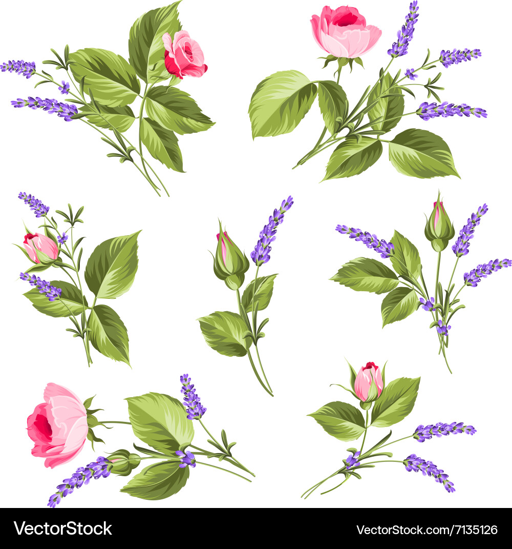 Flowers set Royalty Free Vector Image - VectorStock
