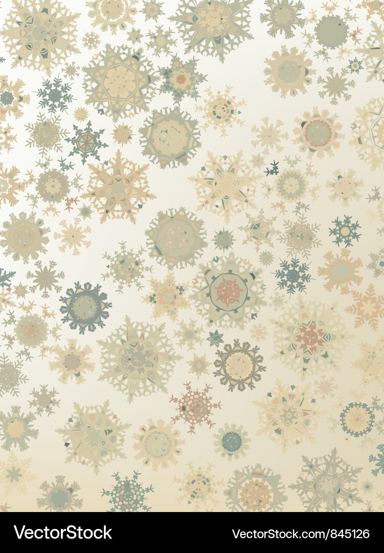 Retro Snowflake Pattern vector image