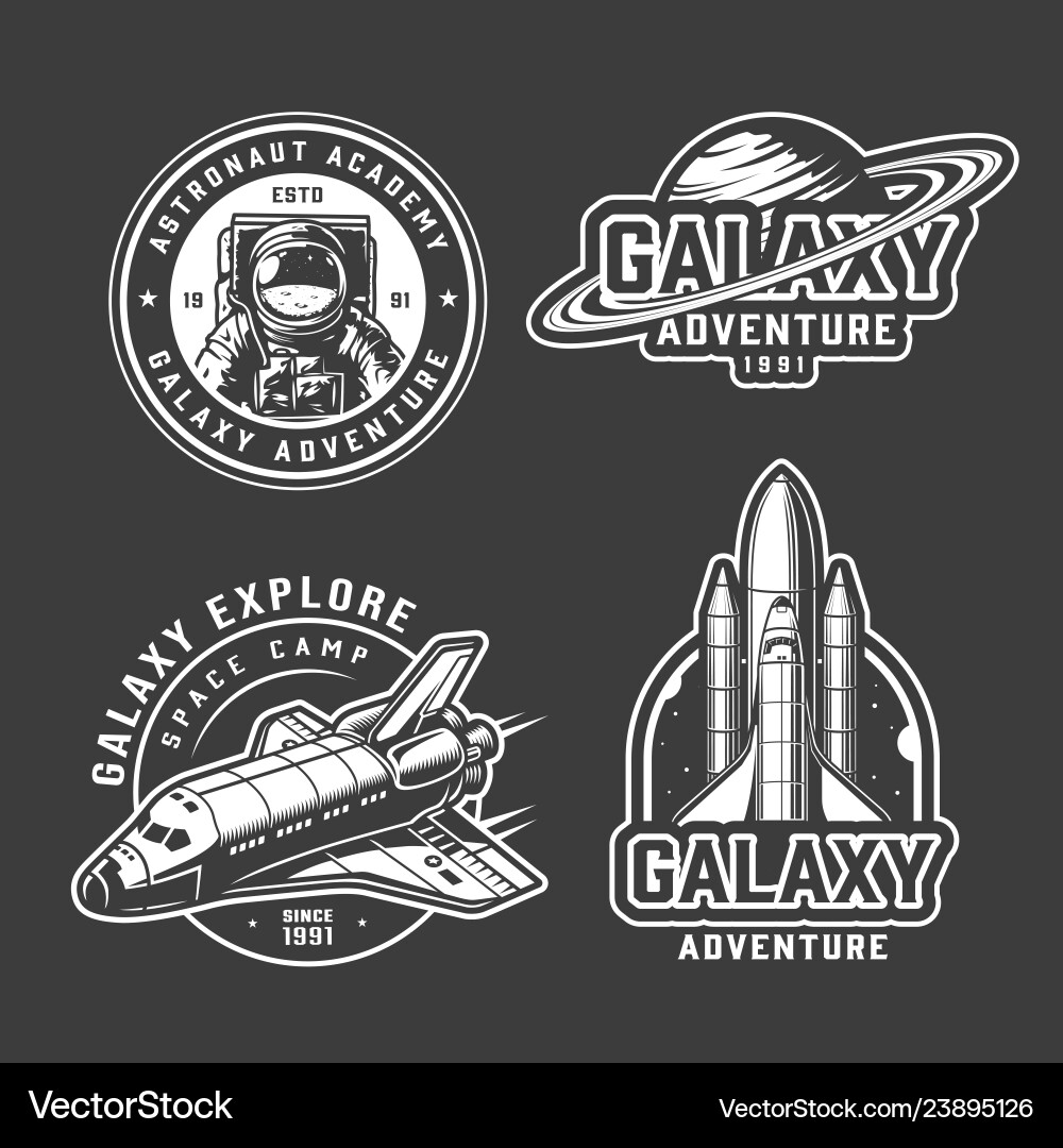 Vintage space exploration emblems set vector image