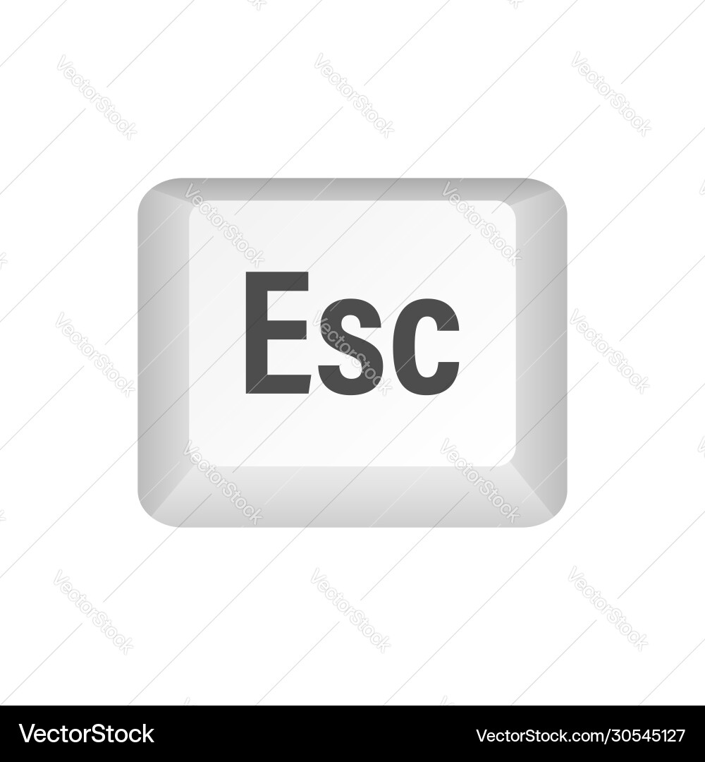 Esc computer keyboard buttons desktop interface Esc computer keyboard buttons desktop interface Vector Image
