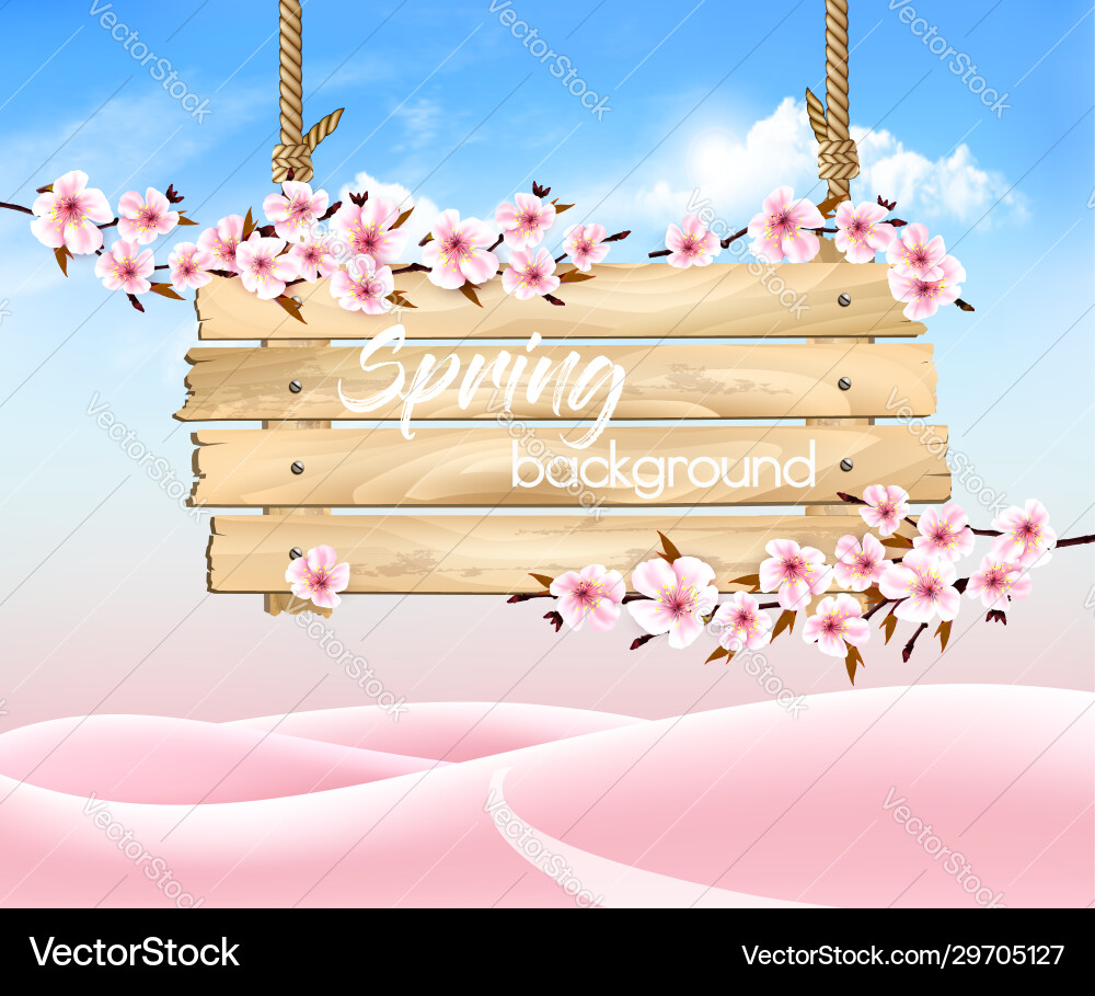 Spring nature background with a pink sakura Vector Image