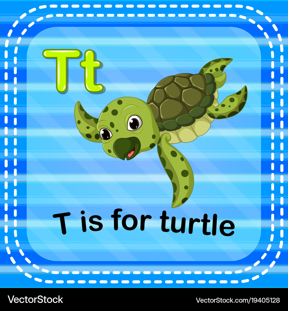 Flashcard letter t is for turtle vector image