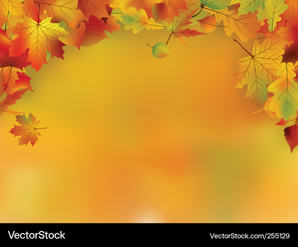 Autumn Leaf Background Vector Image