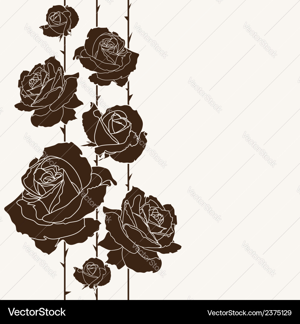 Roses background Royalty Free Vector Image - VectorStock
