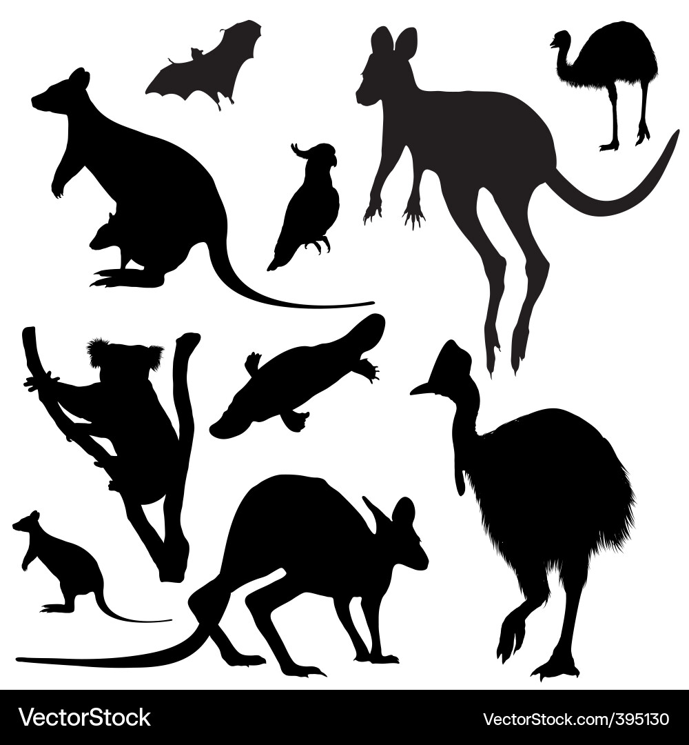 Australian Animal Silhouettes Vector Image
