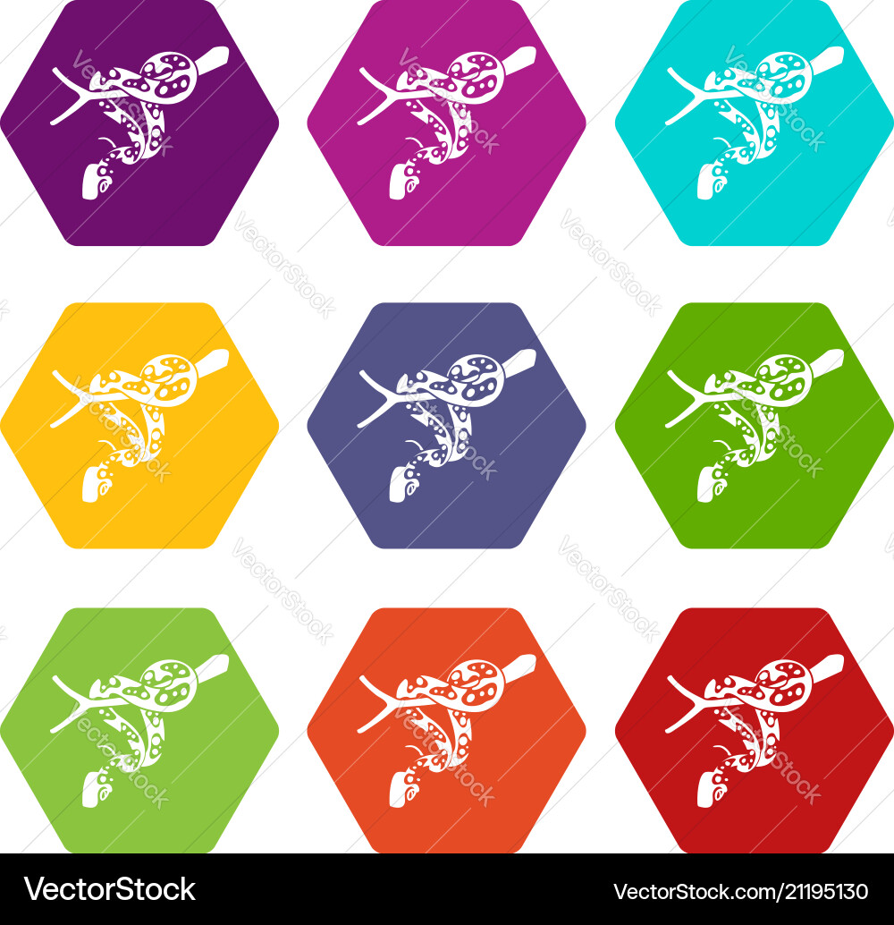 Ball python icons set 9 Ball python icons set 9 vector image