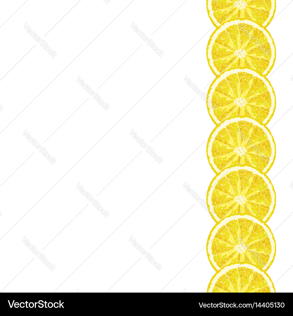 Lemon Slice Border - Citrus Pattern Vector Image