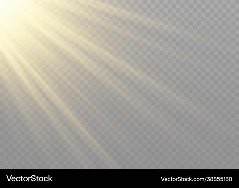 Sunlight lens flash light effect sun ray Vector Image