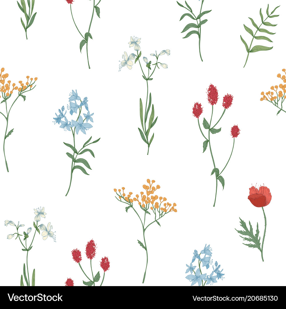 Wildflower Floral Pattern Royalty Free Vector Image